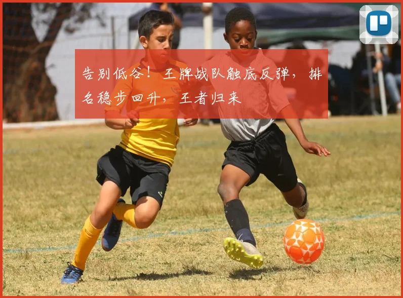 告别低谷!王牌战队触底反弹,排名稳步回升,王者归来