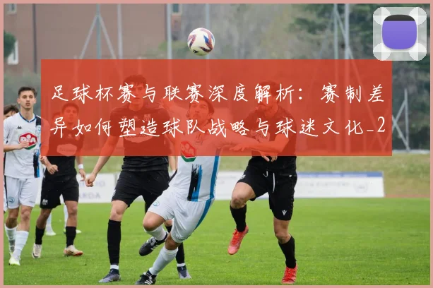 足球杯赛与联赛深度解析：赛制差异如何塑造球队战略与球迷文化_20260614134235
